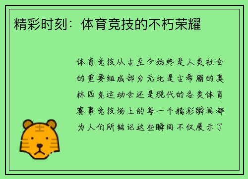 精彩时刻：体育竞技的不朽荣耀