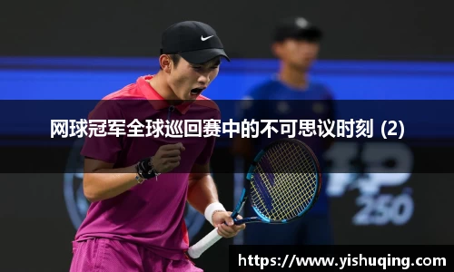 网球冠军全球巡回赛中的不可思议时刻 (2)