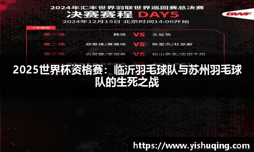 2025世界杯资格赛：临沂羽毛球队与苏州羽毛球队的生死之战